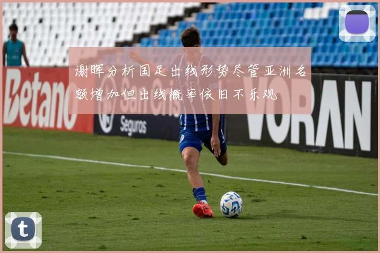 谢晖分析国足出线形势尽管亚洲名额增加但出线概率依旧不乐观
