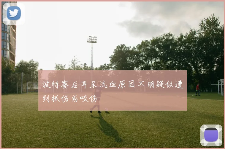 波特赛后耳朵流血原因不明疑似遭到抓伤或咬伤